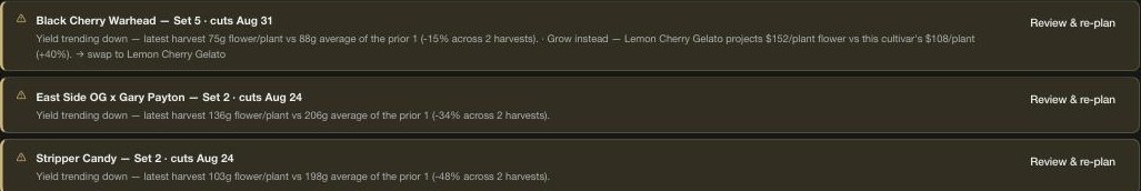 Review flags on the Plan — three cultivars with yield trending down across recent harvests, each carrying its numbers and a review-and-replan action